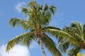 Cruise 2011 042
